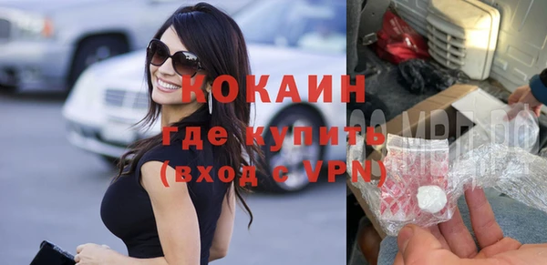 гидра Горняк
