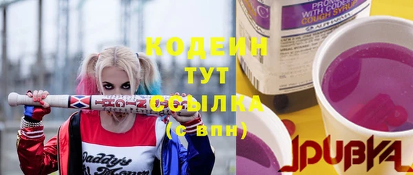 гашик Горнозаводск