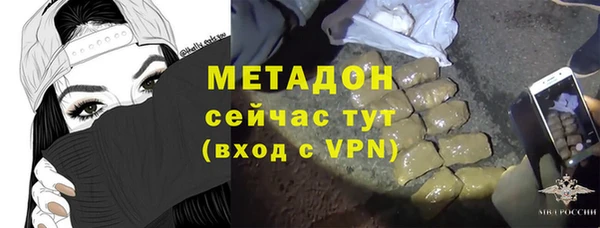 гидра Горняк