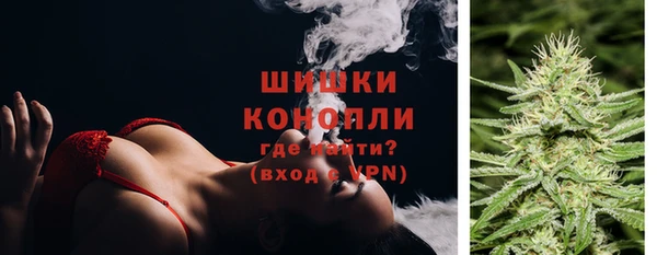 гидра Горняк