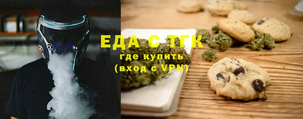 гидра Горняк