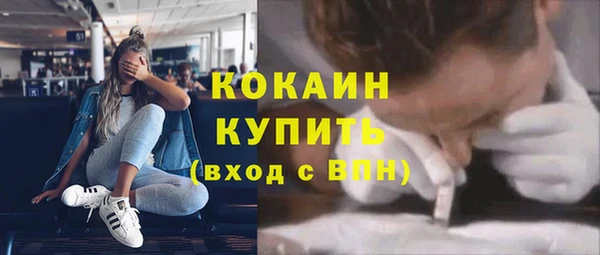 гидра Горняк