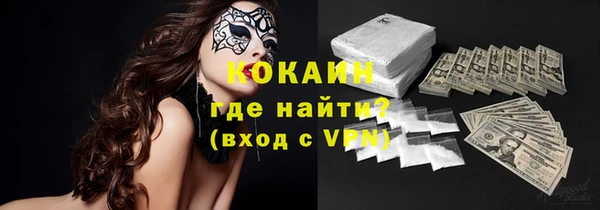 гидра Горняк