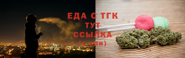 гидра Горняк