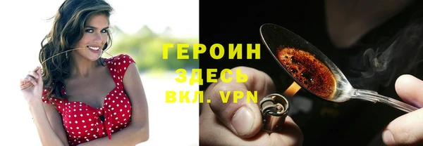 гидра Горняк