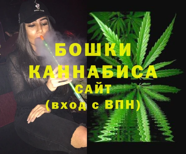 гашик Горнозаводск