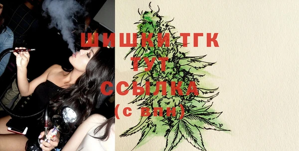 гидра Горняк