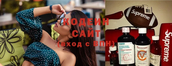 гидра Горняк