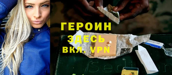 гидра Горняк