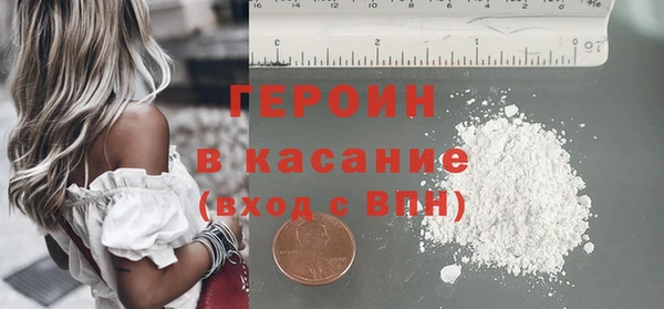 гидра Горняк
