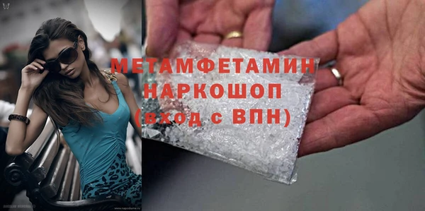 гидра Горняк