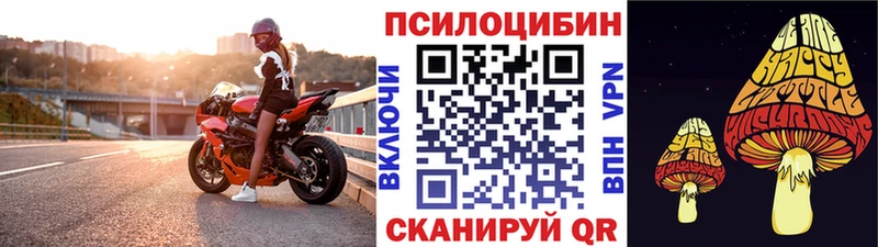Галлюциногенные грибы прущие грибы  Купить где  Камызяк 